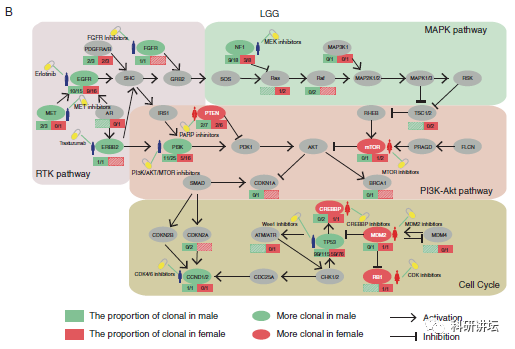 李霞教授在肿瘤组学大数据研究中一年内连发 3 篇顶刊 SCI