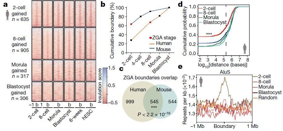 陈子江近期已 5 篇顶刊 (3 篇 NEJM+ 1 篇 Lancet+ 1 篇 Nature)