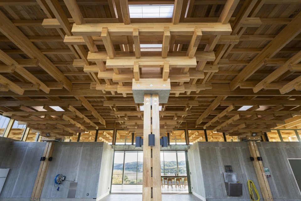 葡萄酒窖扩建，法国 / Thierry Bonne