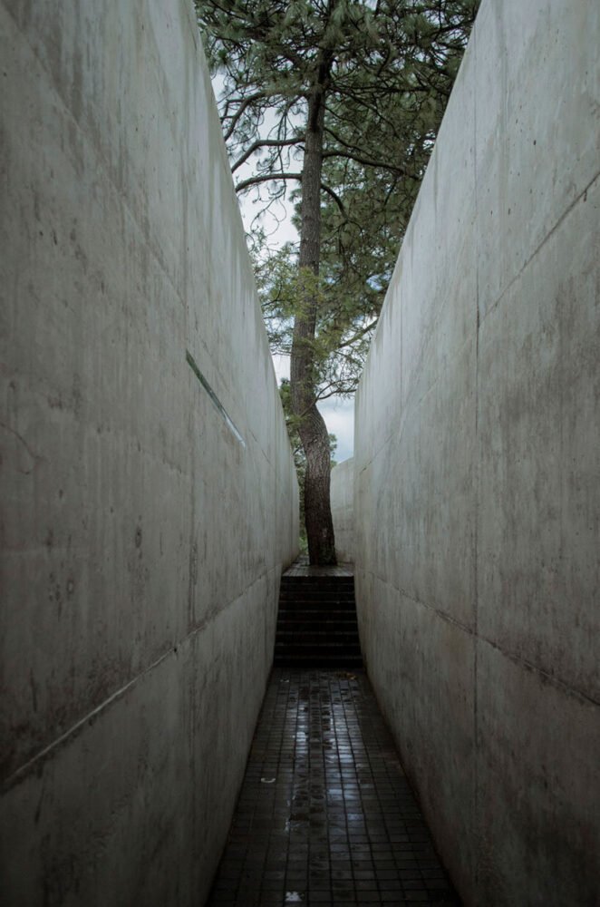 HW studio 的“峡谷前的山丘”是一座伪装成微妙地形的住宅 HW studio 的“峡谷前的山丘”是一座伪装成微妙地形的住宅