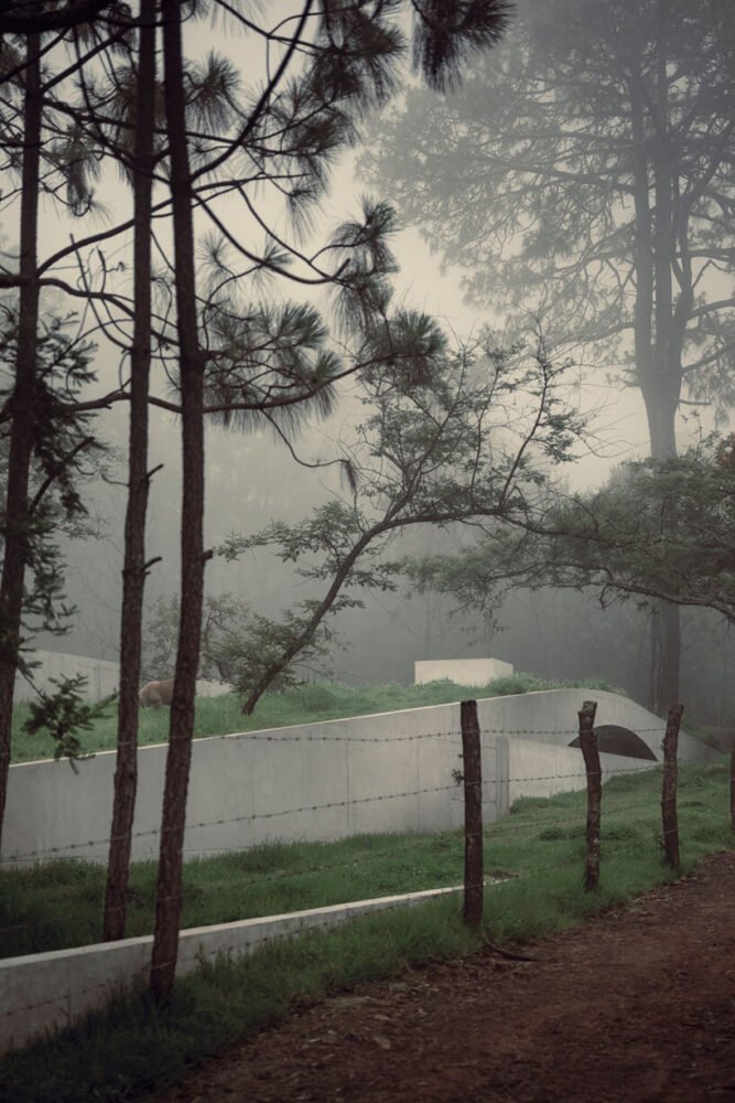 HW studio 的“峡谷前的山丘”是一座伪装成微妙地形的住宅 HW studio 的“峡谷前的山丘”是一座伪装成微妙地形的住宅