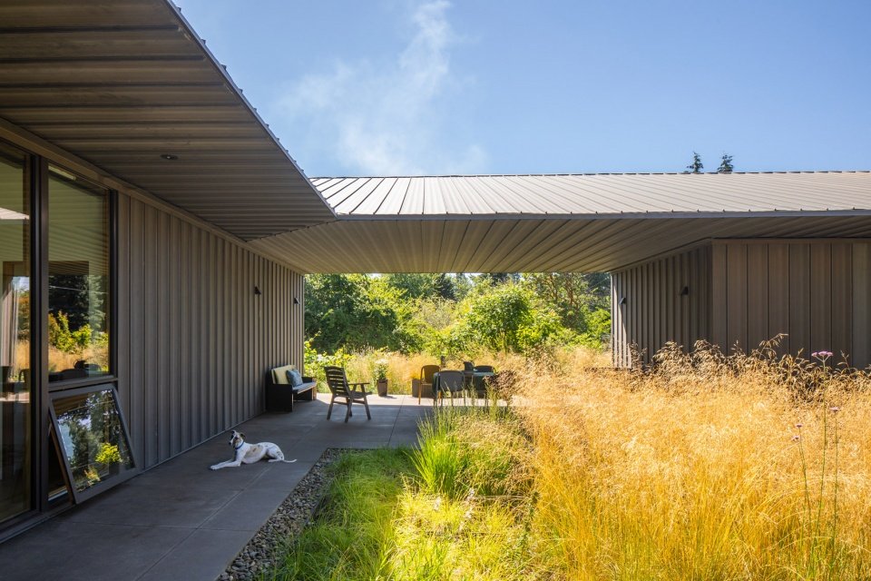 草地住宅，美国 / Waechter Architecture