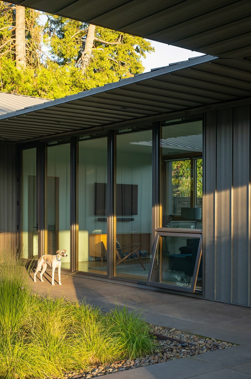 草地住宅，美国 / Waechter Architecture