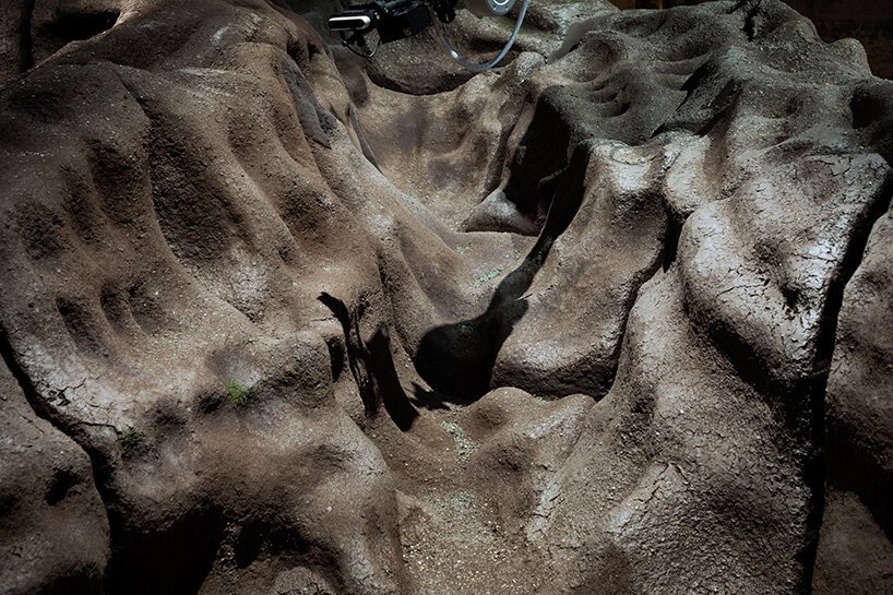 “魔法女王”是由机器人园丁精心照料的 3D 打印土壤景观