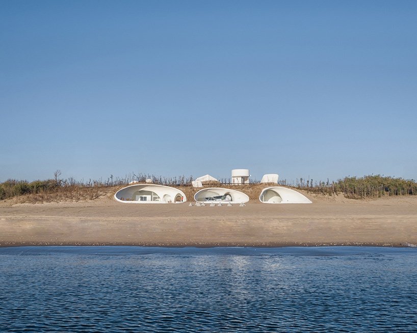 与开放式建筑的对话:平衡激进与诗意 与开放式建筑的对话:平衡激进与诗意