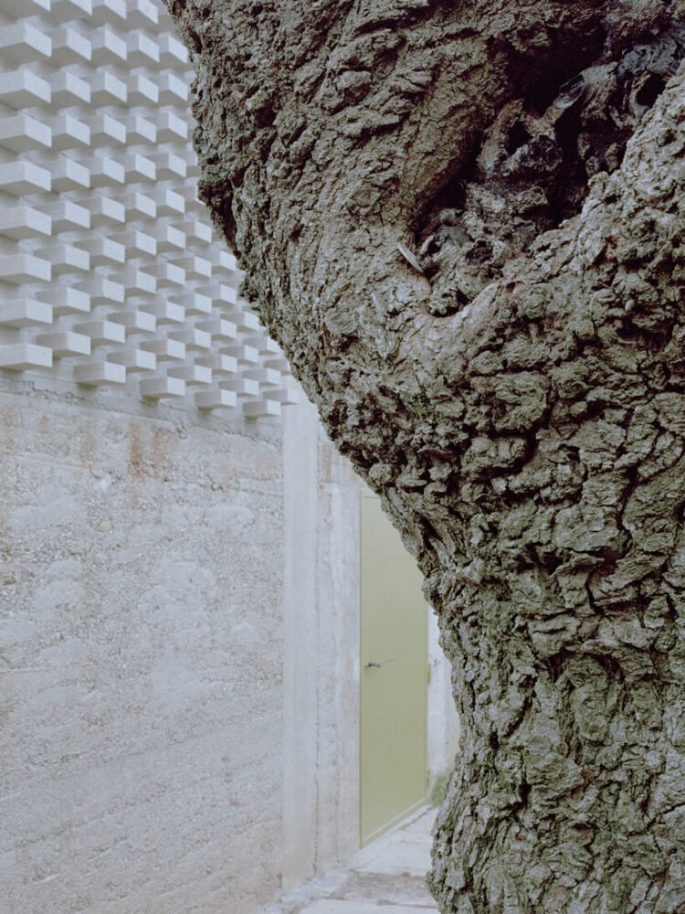 a25 architetti’s barn renovation in northern italy reinterprets tradition in a contemporary way