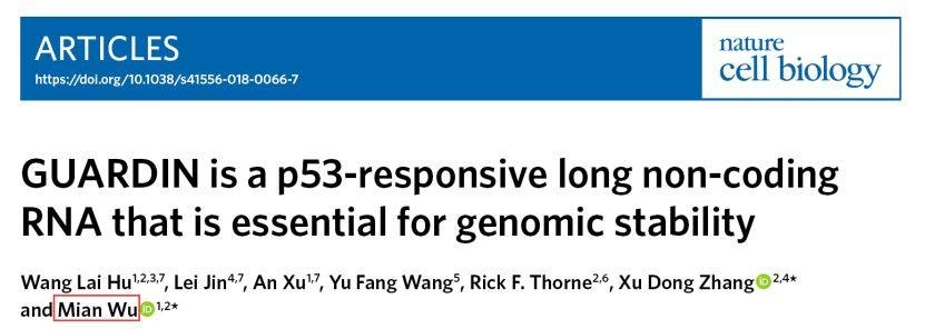 吴缅:lncRNA 神人 2 个月连发 PNAS 和 Nature 子刊