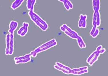 吴缅:lncRNA 神人 2 个月连发 PNAS 和 Nature 子刊