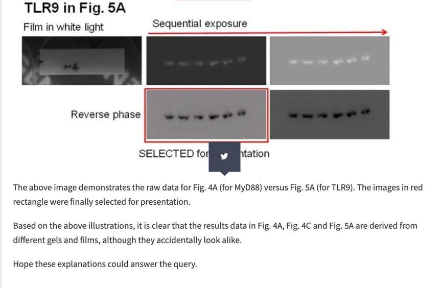 曹雪涛及团队第一作者快速回应论文造假质疑，全网最详细