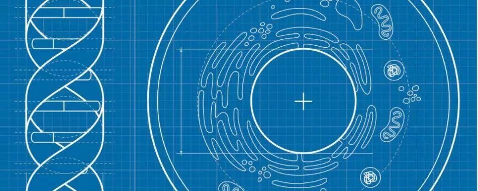 The Scientist:2019 年度具有代表性和突破性的生物技术