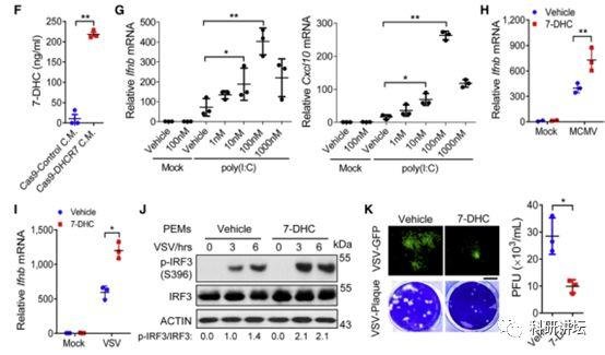 王红艳获得优青和杰青后再次在顶级期刊上发表论文