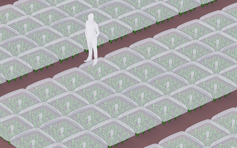 AGRODOME 是一个用于种植作物的模块化、透气的微环境