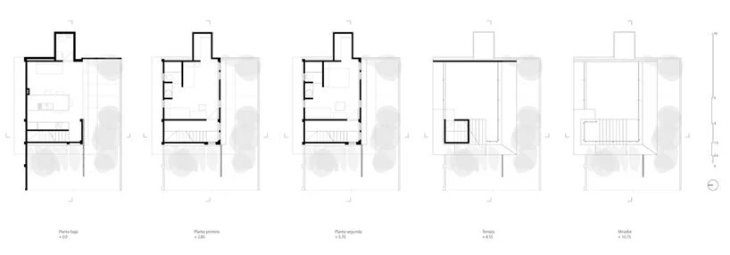 a lush garden grows the entire height of albor arquitectos’tower house in cuba