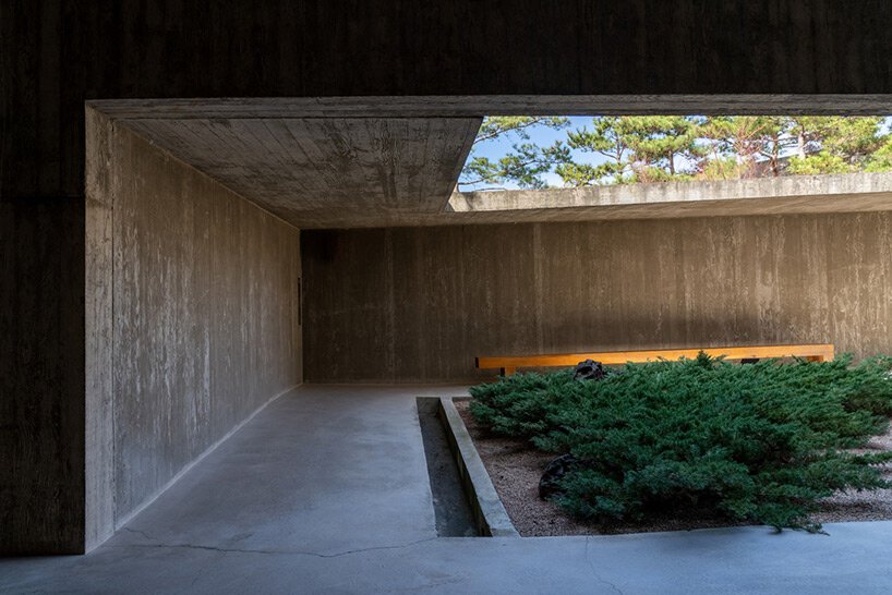 discover álvaro siza’s concrete pavilions in south korea through william mulvihill’s lens
