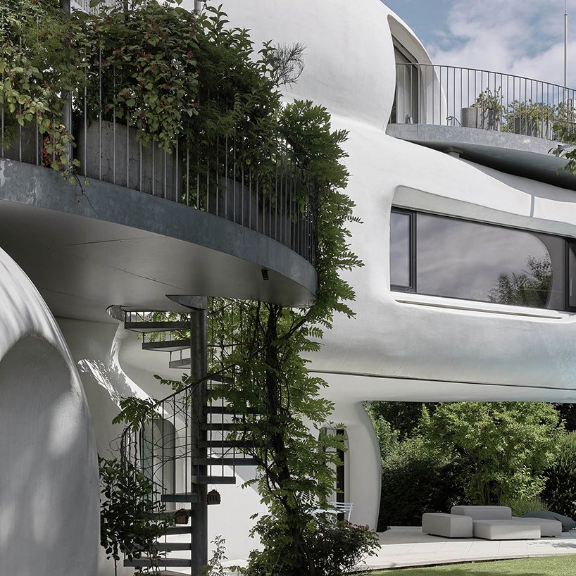 curved timber frame shapes an amorph living sculpture by lechner & lechner