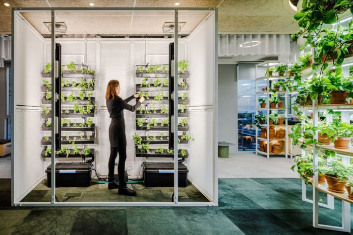 奥雅纳办事处 – 华沙