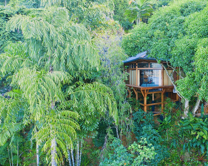 三角形“casa proa”树屋漂浮在巴西沿海树冠之间 三角形“casa proa”树屋漂浮在巴西沿海树冠之间