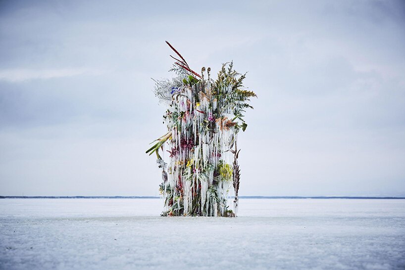在冷冻花卉中，azuma makoto 使用冰来保存花卉装置