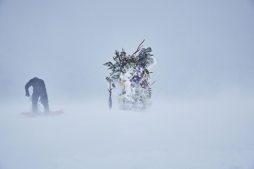 在冷冻花卉中，azuma makoto 使用冰来保存花卉装置