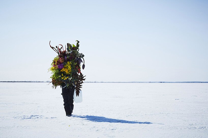在冷冻花卉中，azuma makoto 使用冰来保存花卉装置