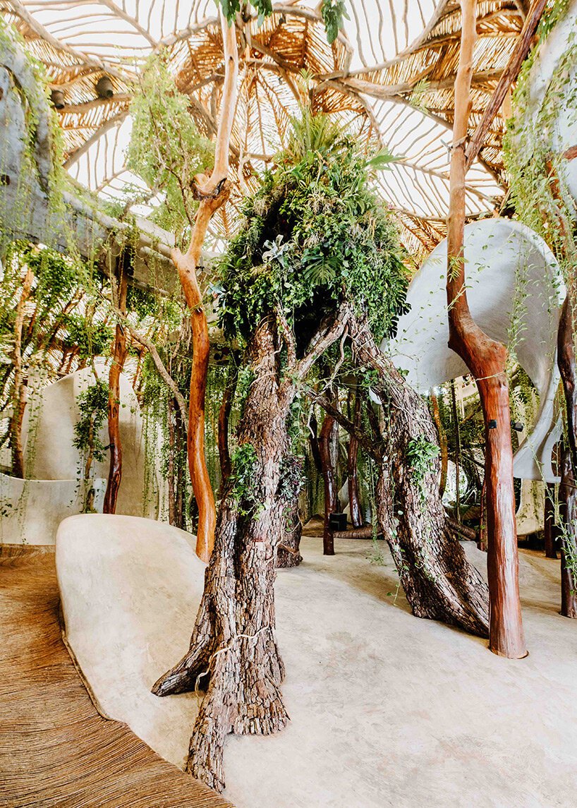 azuma makoto 的纪念性植物雕塑“MEXX”取材于茂密的墨西哥丛林 azuma makoto 的纪念性植物雕塑“MEXX”取材于茂密的墨西哥丛林