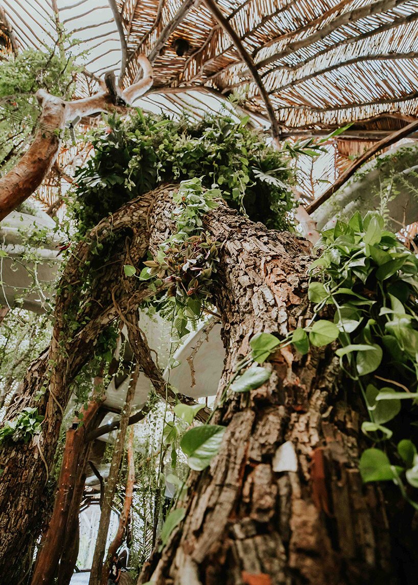 azuma makoto 的纪念性植物雕塑“MEXX”取材于茂密的墨西哥丛林 azuma makoto 的纪念性植物雕塑“MEXX”取材于茂密的墨西哥丛林