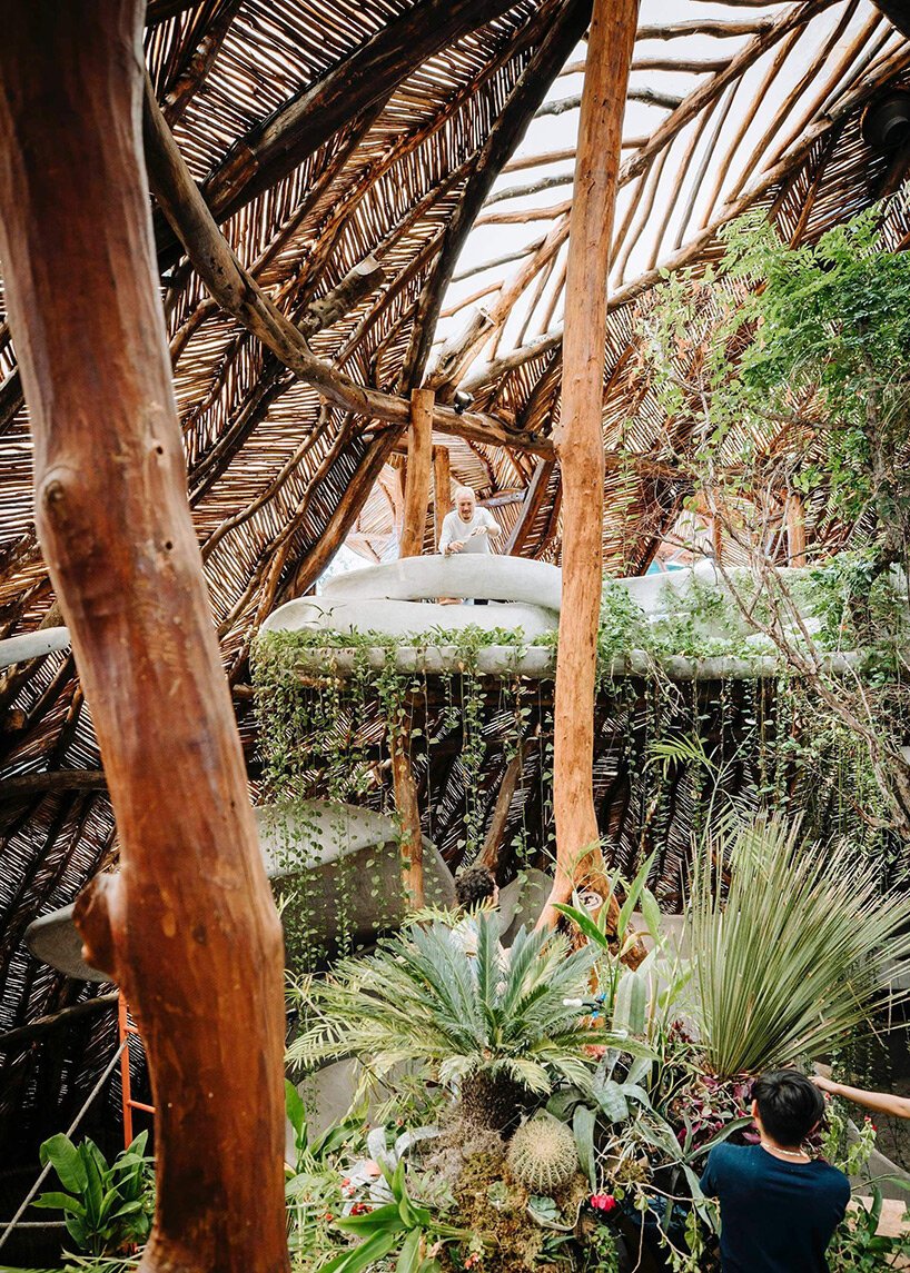 azuma makoto 的纪念性植物雕塑“MEXX”取材于茂密的墨西哥丛林 azuma makoto 的纪念性植物雕塑“MEXX”取材于茂密的墨西哥丛林