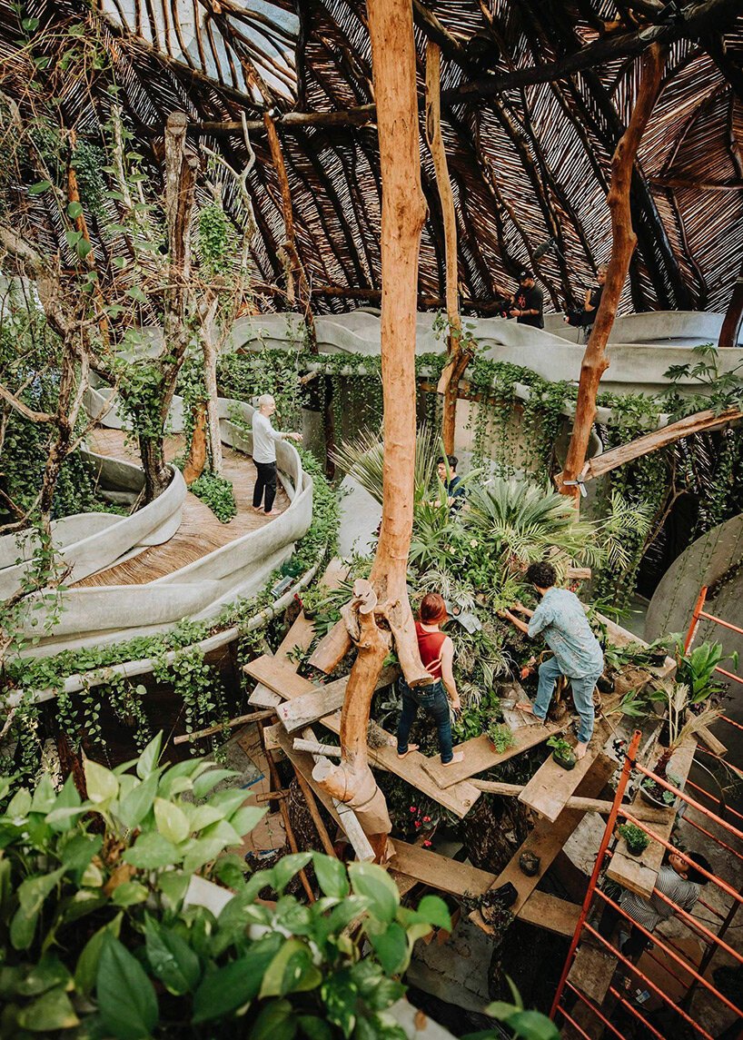 azuma makoto 的纪念性植物雕塑“MEXX”取材于茂密的墨西哥丛林 azuma makoto 的纪念性植物雕塑“MEXX”取材于茂密的墨西哥丛林