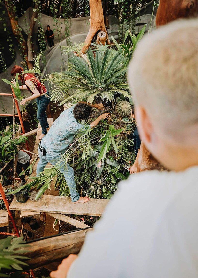 azuma makoto 的纪念性植物雕塑“MEXX”取材于茂密的墨西哥丛林 azuma makoto 的纪念性植物雕塑“MEXX”取材于茂密的墨西哥丛林