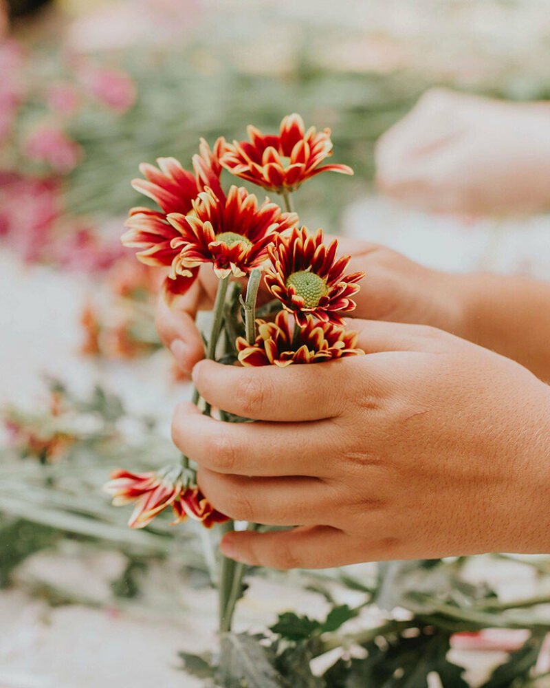 azuma makoto 的纪念性植物雕塑“MEXX”取材于茂密的墨西哥丛林 azuma makoto 的纪念性植物雕塑“MEXX”取材于茂密的墨西哥丛林