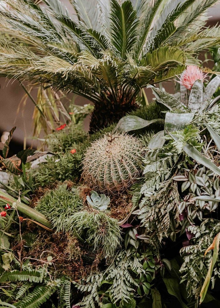 azuma makoto 的纪念性植物雕塑“MEXX”取材于茂密的墨西哥丛林 azuma makoto 的纪念性植物雕塑“MEXX”取材于茂密的墨西哥丛林