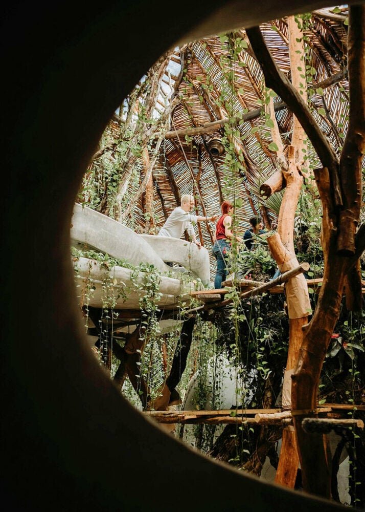 azuma makoto 的纪念性植物雕塑“MEXX”取材于茂密的墨西哥丛林 azuma makoto 的纪念性植物雕塑“MEXX”取材于茂密的墨西哥丛林