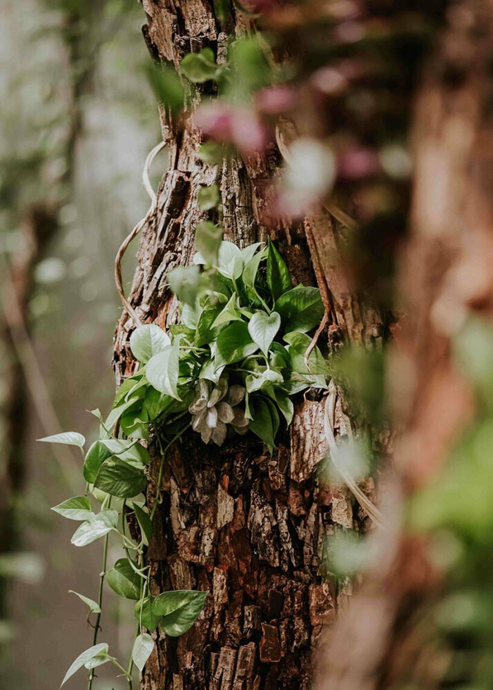 azuma makoto 的纪念性植物雕塑“MEXX”取材于茂密的墨西哥丛林 azuma makoto 的纪念性植物雕塑“MEXX”取材于茂密的墨西哥丛林