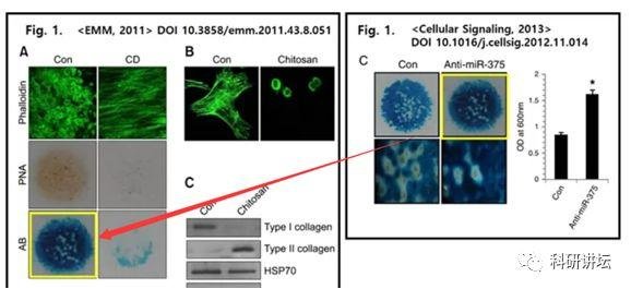 韩国圆光大学 Eun-Jung Jin 教授被指论文造假