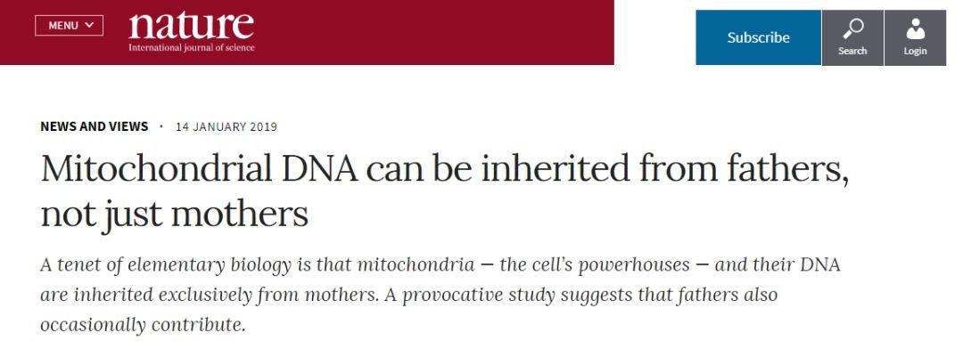线粒体 DNA 双亲遗传文章受到强烈质疑