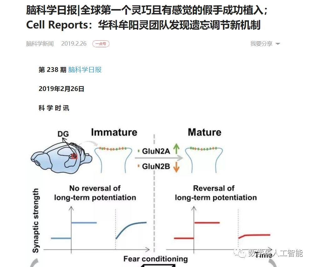 华中科技大学同济医学院的青年千人教授、博士生导师牟阳灵教授因病去世
