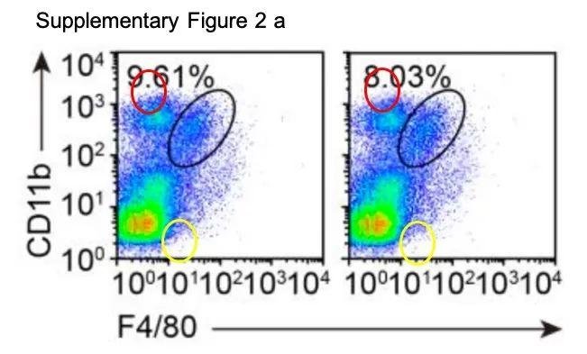 曹雪涛最新论文再遭质疑，受质疑论文总数 64 篇 (附全部名单)