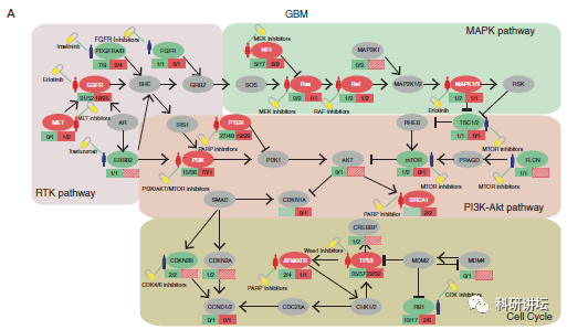 李霞教授在肿瘤组学大数据研究中一年内连发 3 篇顶刊 SCI