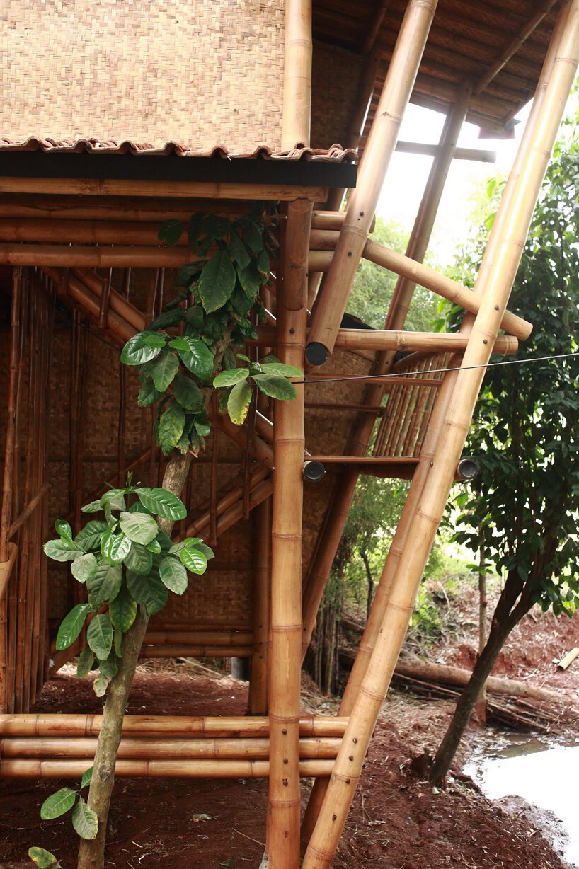 bambuso.id 在印度尼西亚帕隆建造了高跷“竹花园屋”