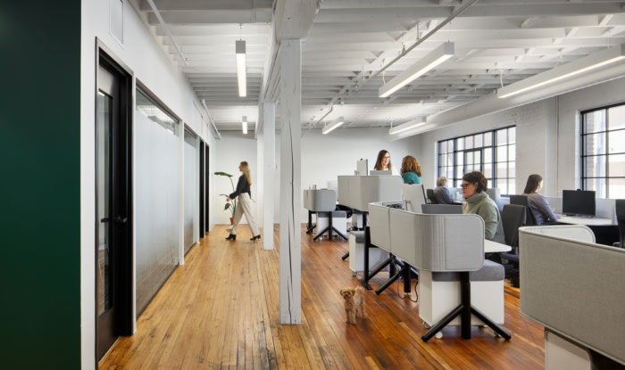 蜂巢战略传播办公室 - 圣保罗