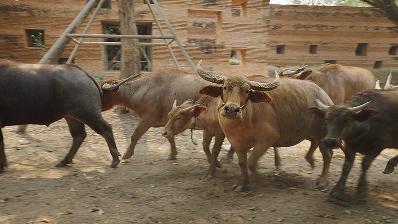 designboom 在线首映:bêka 和 lemoine 电影 boonserm premthada 探索曼谷 designboom 在线首映:bêka 和 lemoine 电影 boonserm premthada 探索曼谷