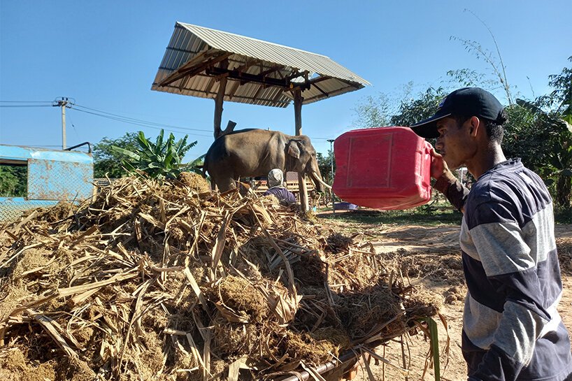 2021 年设计奖社会影响奖获得者 boonserm premthada 创造了大象粪便砖