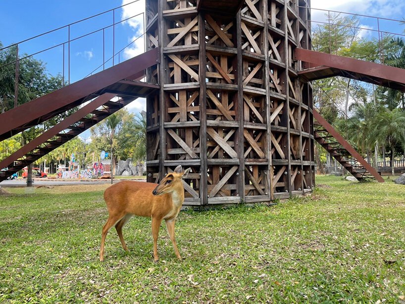 boonserm premthada 改造废弃的木仓，在泰国建造“米塔”