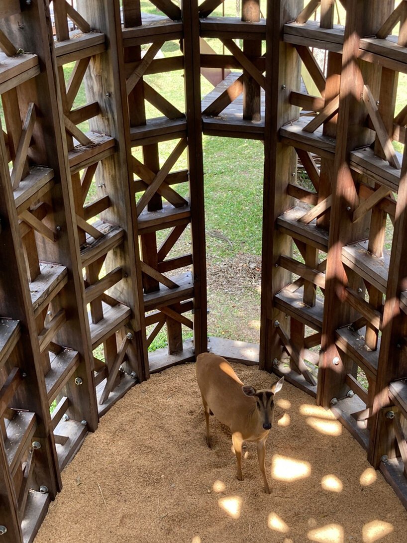 boonserm premthada 改造废弃的木仓，在泰国建造“米塔”