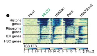 Hanna K. A. Mikkola 教授一半的文章发表在高分期刊上