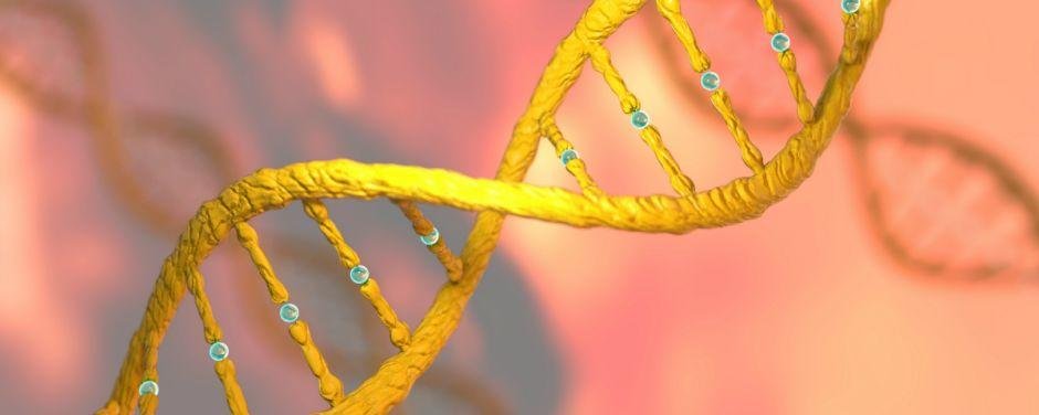 The Scientist:2019 年度具有代表性和突破性的生物技术