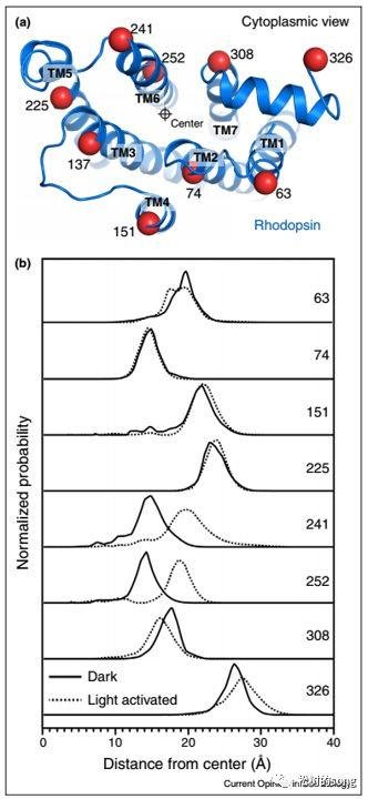 关于“饶毅教授质疑裴钢院士”