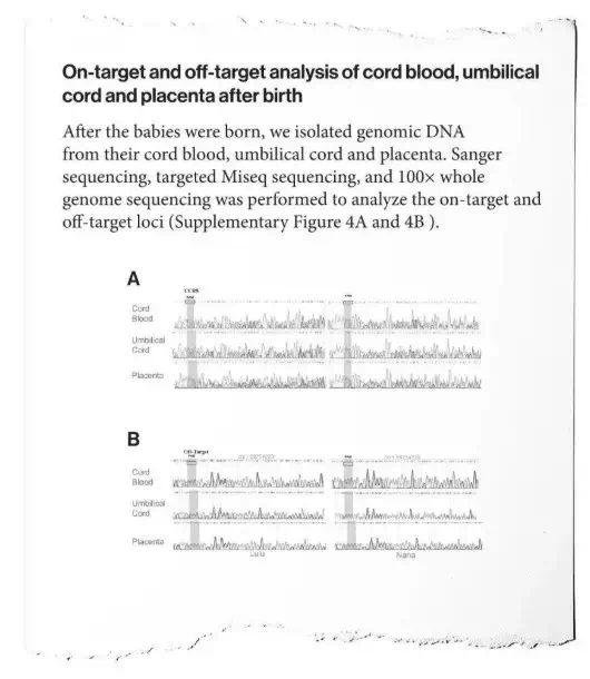 贺建奎论文手稿意外曝光,基因编辑实验充满谎言! 贺建奎论文手稿意外曝光,基因编辑实验充满谎言!