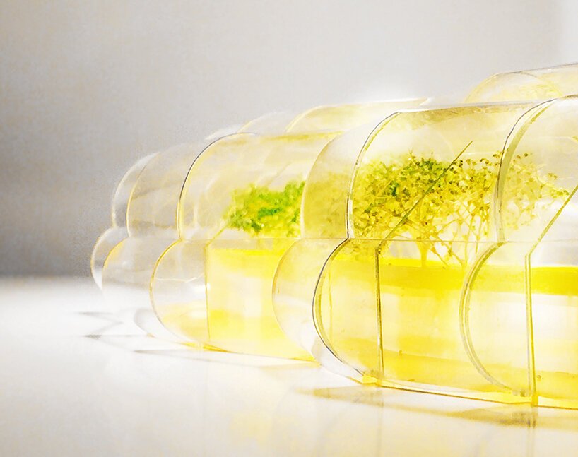 Selgascano 以透明的黄色食品市场提升伦敦设计区的水平