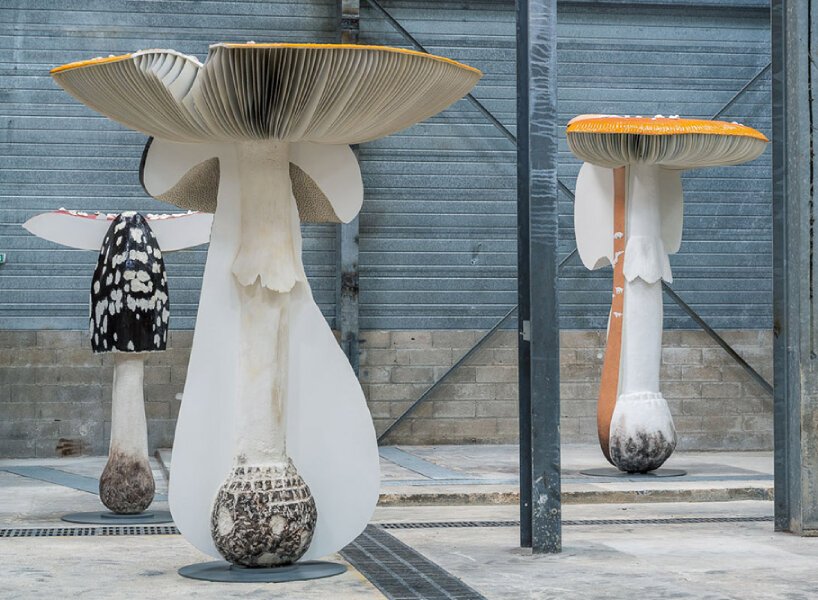 卡斯滕·霍勒(carsten höller)为展览“新的长期项目”复制了有毒、致幻的蘑菇 卡斯滕·霍勒(carsten höller)为展览“新的长期项目”复制了有毒、致幻的蘑菇